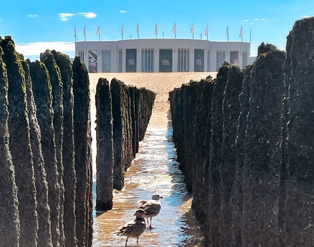 Passez un bon moment au Grand Casino Knokke !